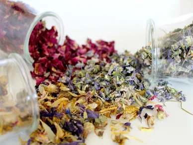 HEW101-Herbal Signatures: Herbal Essences Workshop